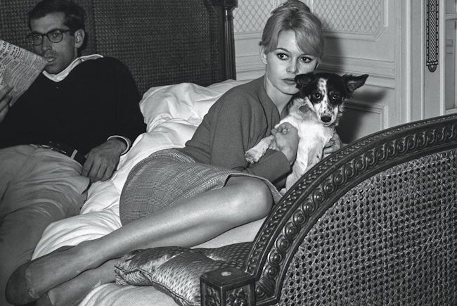Brigitte Bardot with dog in 1960s