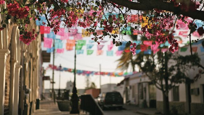 Todos Santos culture