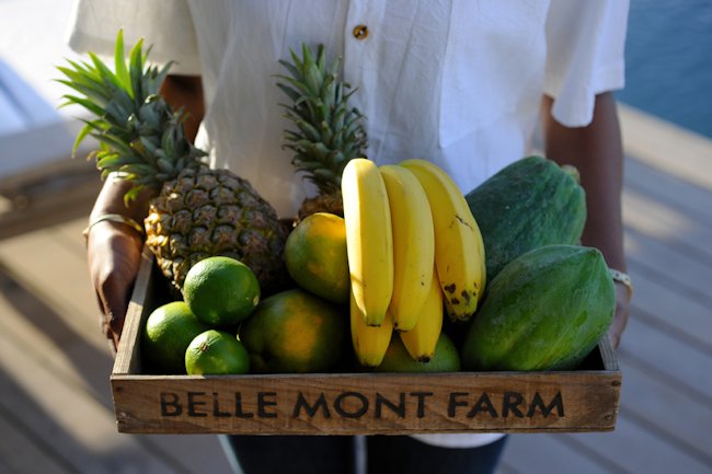 Belle Mont Farm fruit basket
