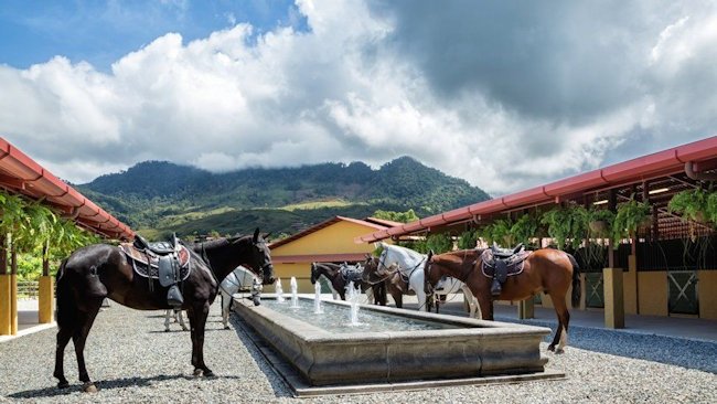 AltaGracia horses