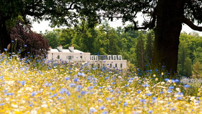 Coworth Park flowers