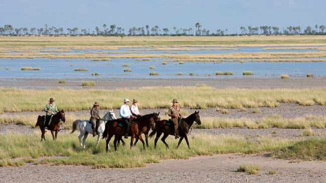 Botswana safari