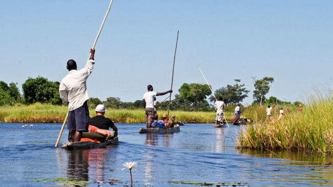 Botswana safari