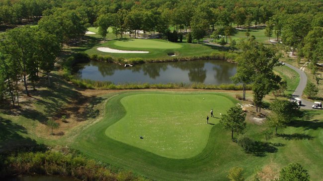 Blue Heron Pines