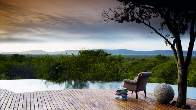 Africa Safari pool with a view