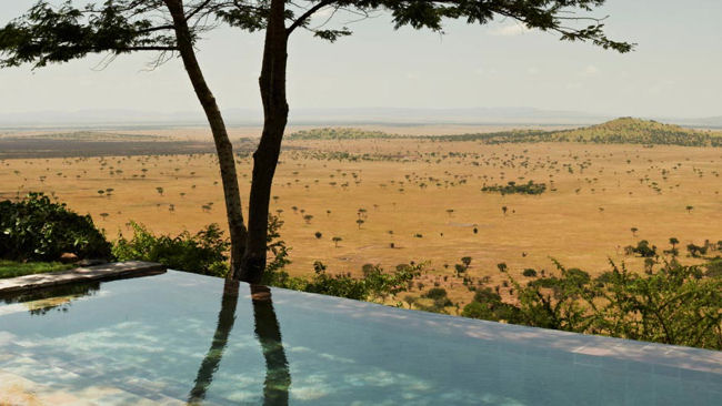 Africa Safari pool with a view