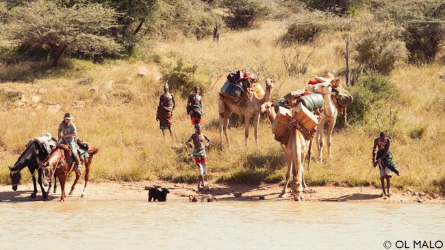 Riding Safaris