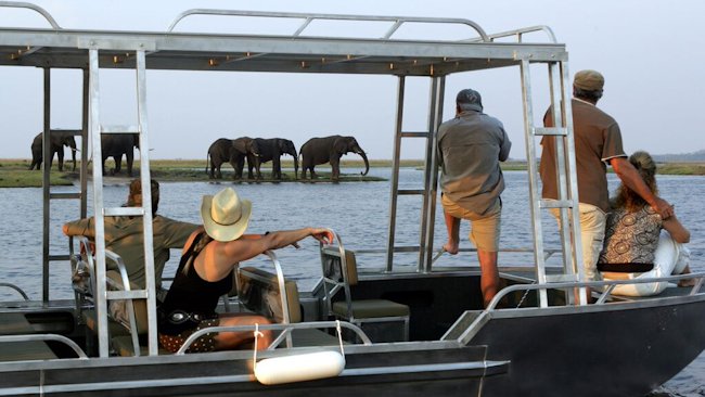 river cruise elephants