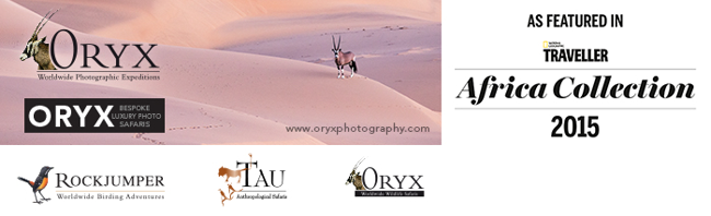 oryx logos