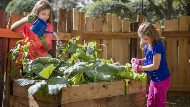 Ritz-Carlton Orlando kids garden