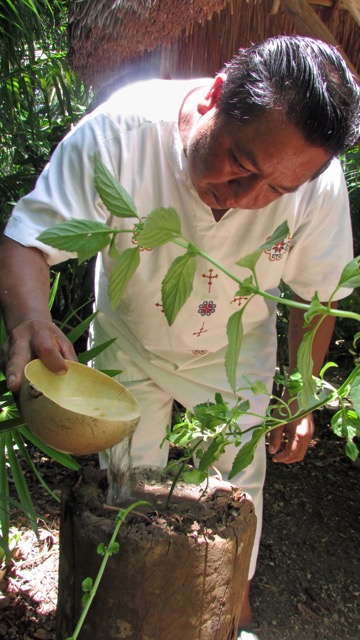 Viceroy Rivera Maya shaman