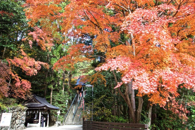 Hodosan Shrine