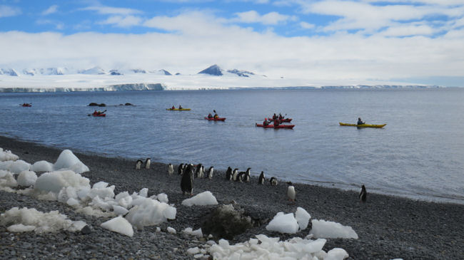 kayakers at Brown Bluff