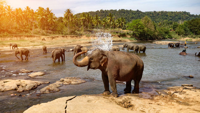 Sri Lanka