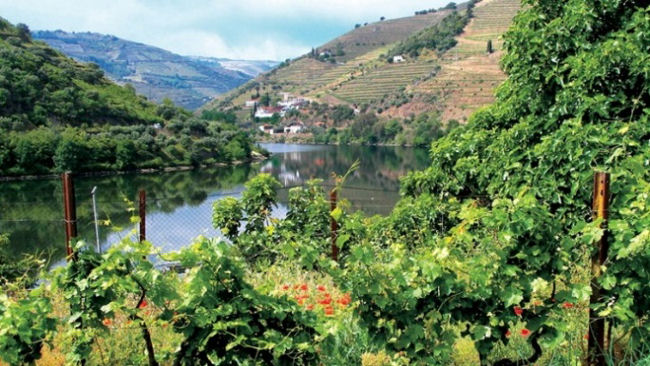 Uniworld Douro River Valley
