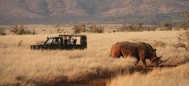 Lewa Safari Camp