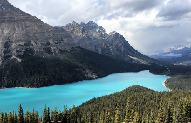 Lake Peyto