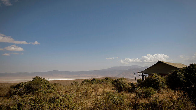 Entamanu Ngorongoro