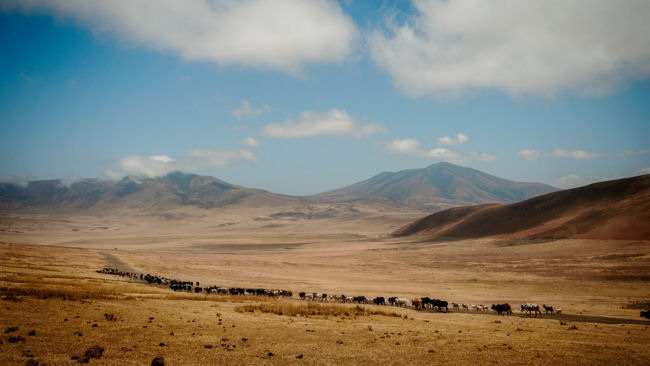 Entamanu Ngorongoro