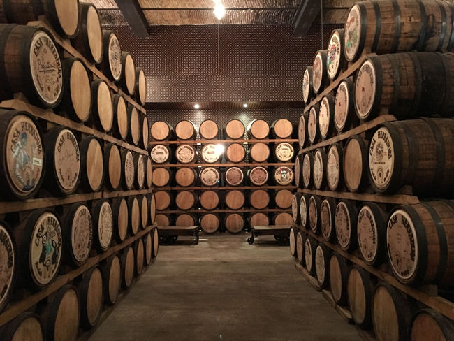 tequila barrels