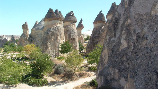 Cappadocia Pasabagi