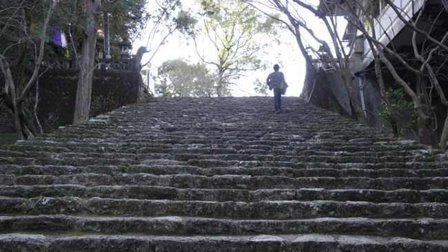 Steep stone steps leading up Mt. Godai-san to Chikurinji Temple