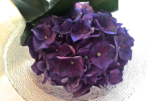 Hotel Eden Roc Ascona spa bouquet of hydrangeas