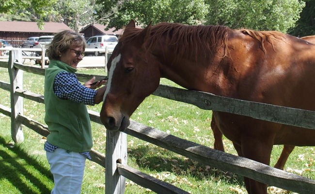 Alisal Guest Ranch horse