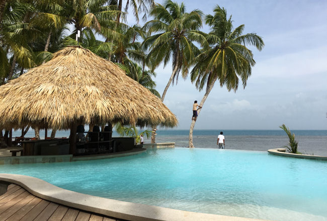 Calala Island coconut climb