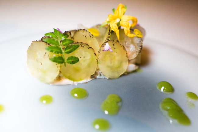 Stone Crab Sea Urchin and Cucumber