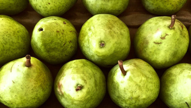 San Jose Pears at Los Gatos Certified Farmers