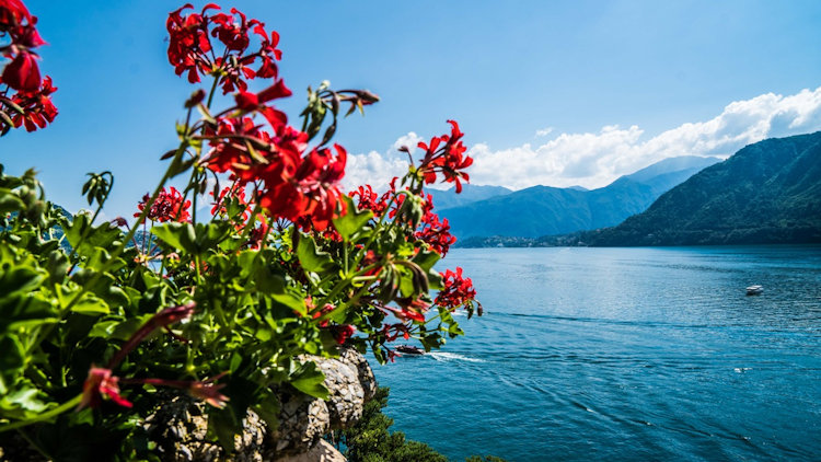 Lake Como view