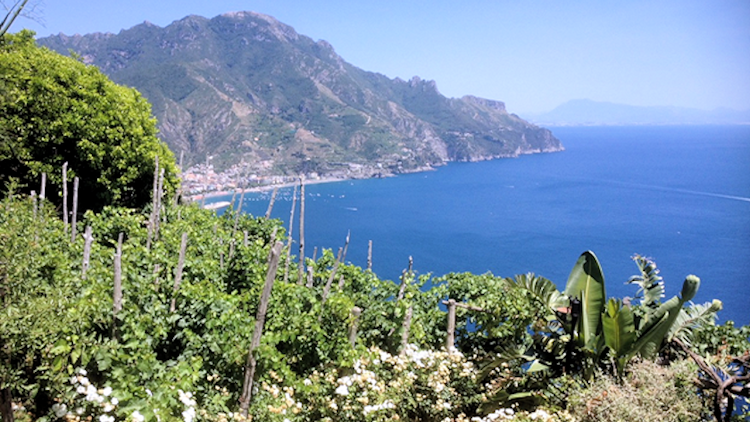 Positano 