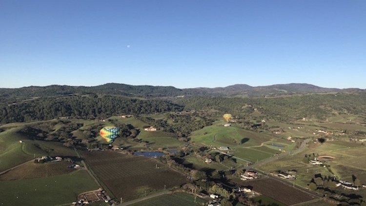 Napa Valley Aloft