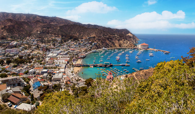 Avalon Catalina Island