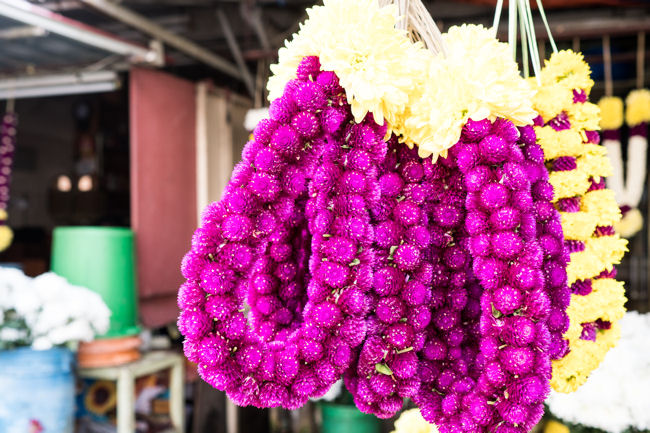 Penang leis