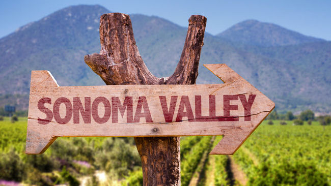 Sonoma Valley wine tasting