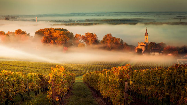 Bordeaux wine tasting