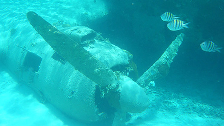 Exumas sunken airplane