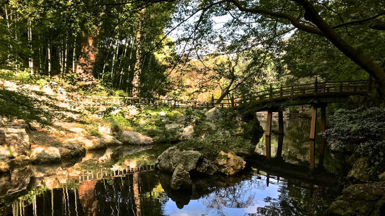 Hamamatsu Castle park