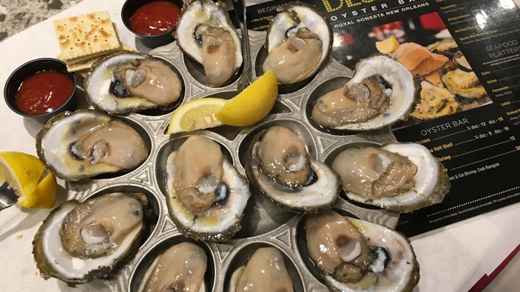 oysters