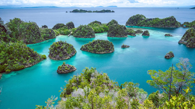 Raja Ampat