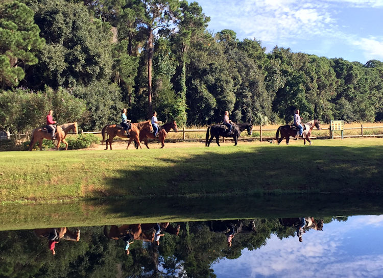 forest preserve riding