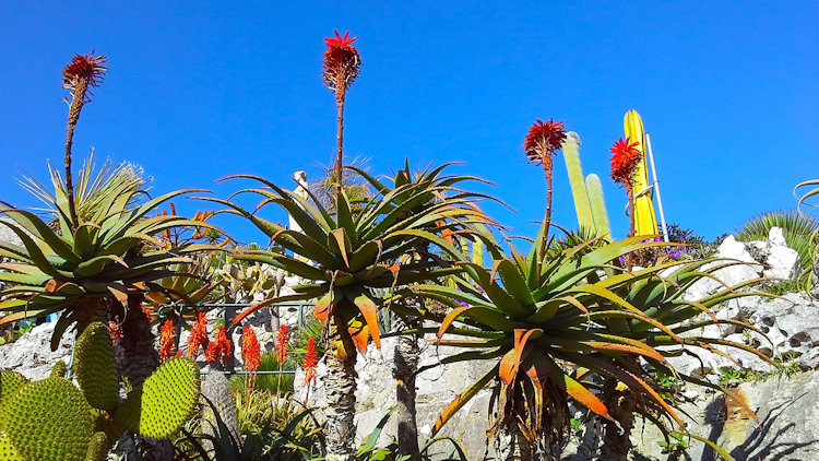 eze garden