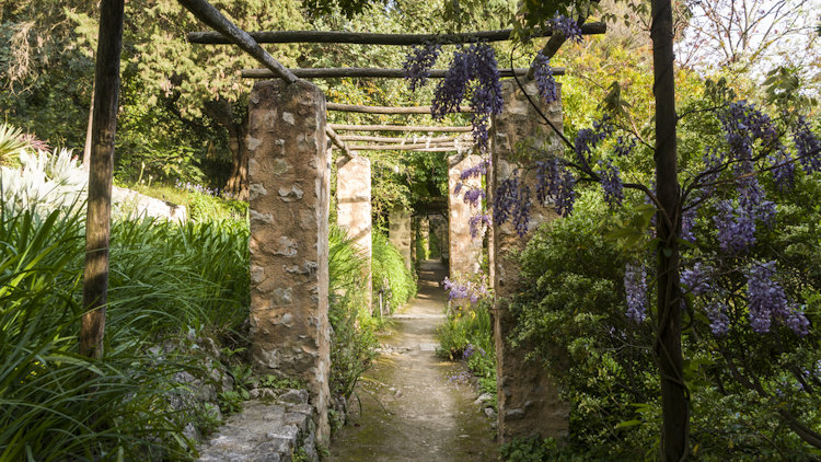 menton garden