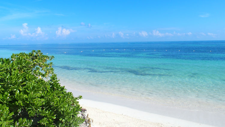 oyster bay resort jamaica