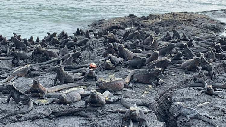 Galapagos luxury