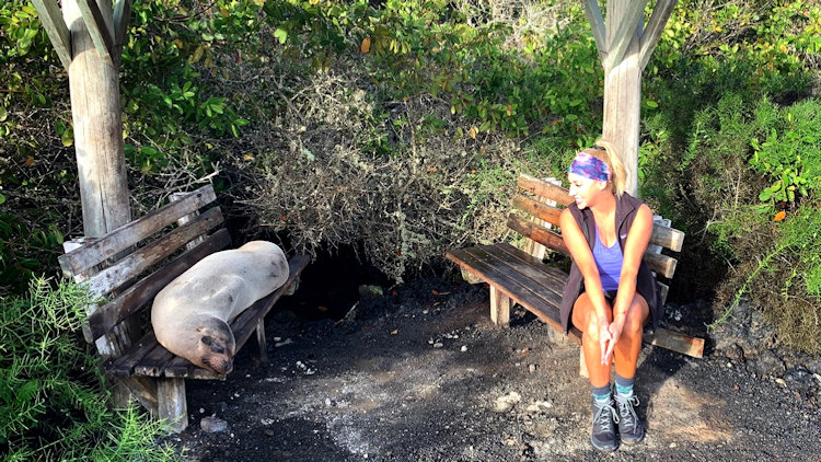 Galapagos luxury