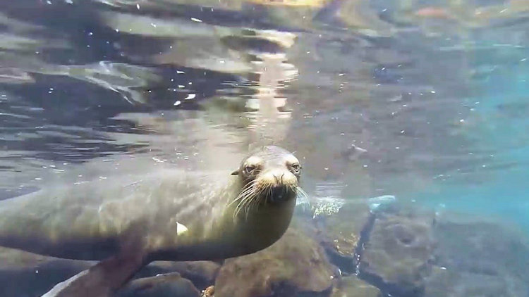 Galapagos luxury