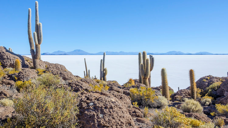 Glamping Bolivia